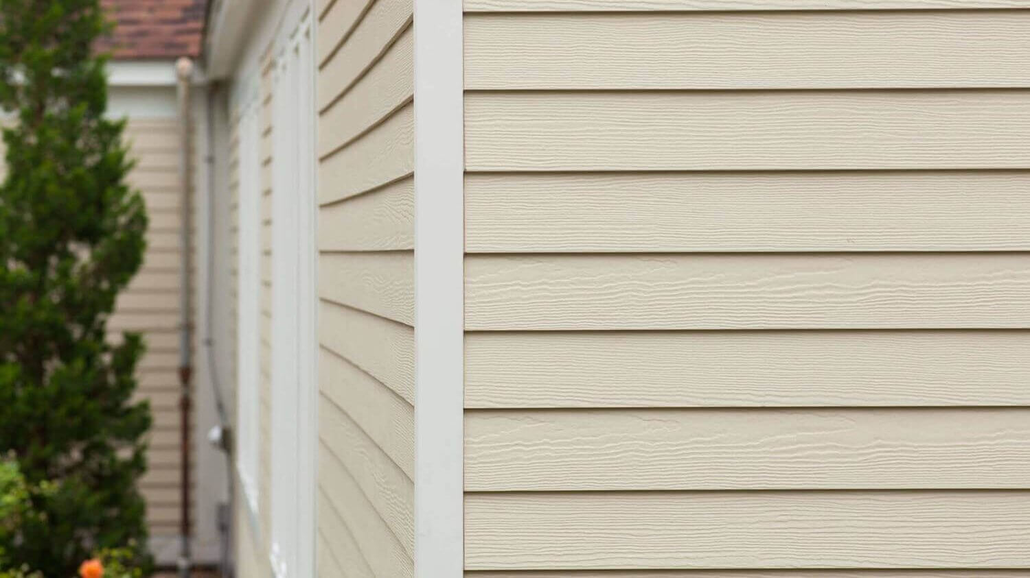 white vinyl siding of a house with  tree in the left part of the background.
